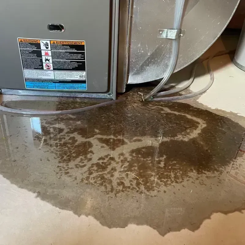 Appliance Leak Cleanup in Duval County, TX